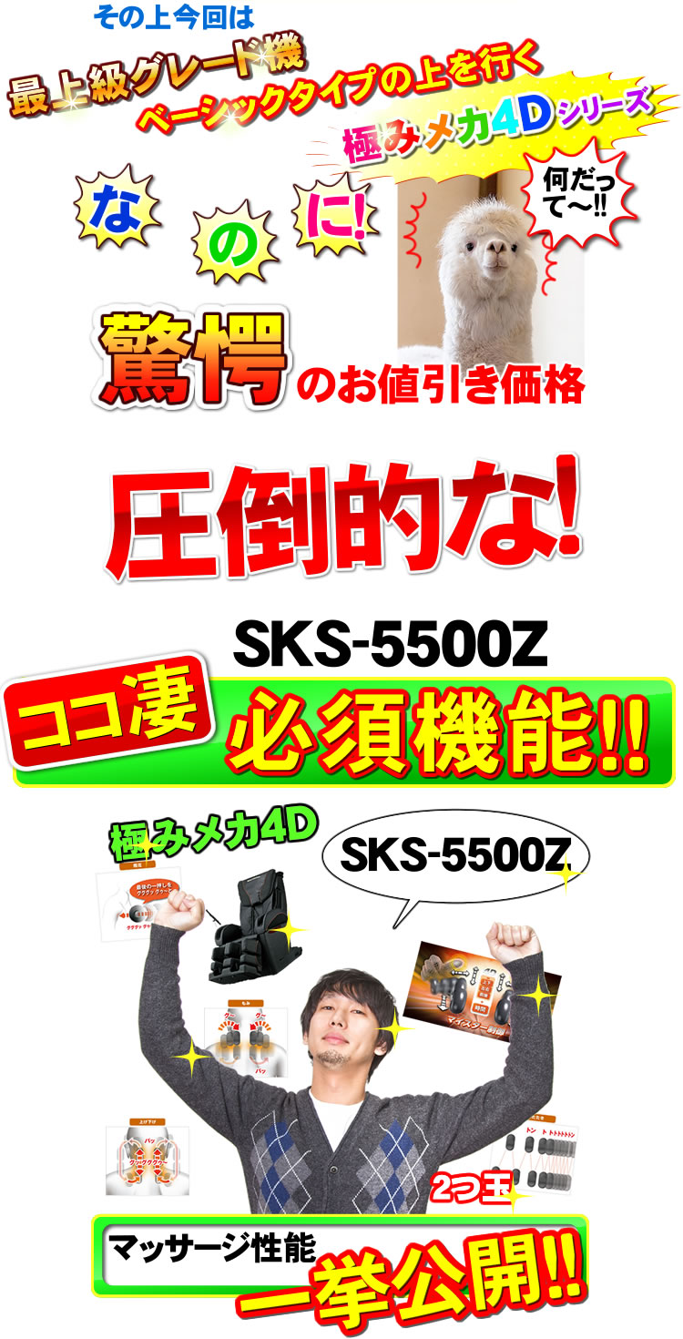 SKS5500Zは新発売なのに大特価