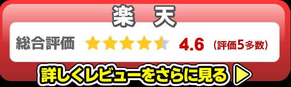 ZZ-10000レビュー楽天