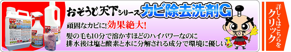 おそうじ天下カビ除去洗剤G